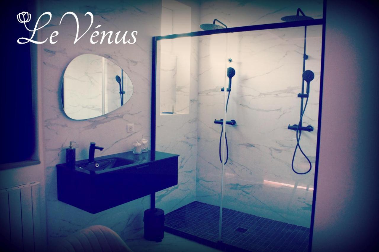 Le Venus - Appartement Spa Privatif Balneo Sauna Dijon Kültér fotó
